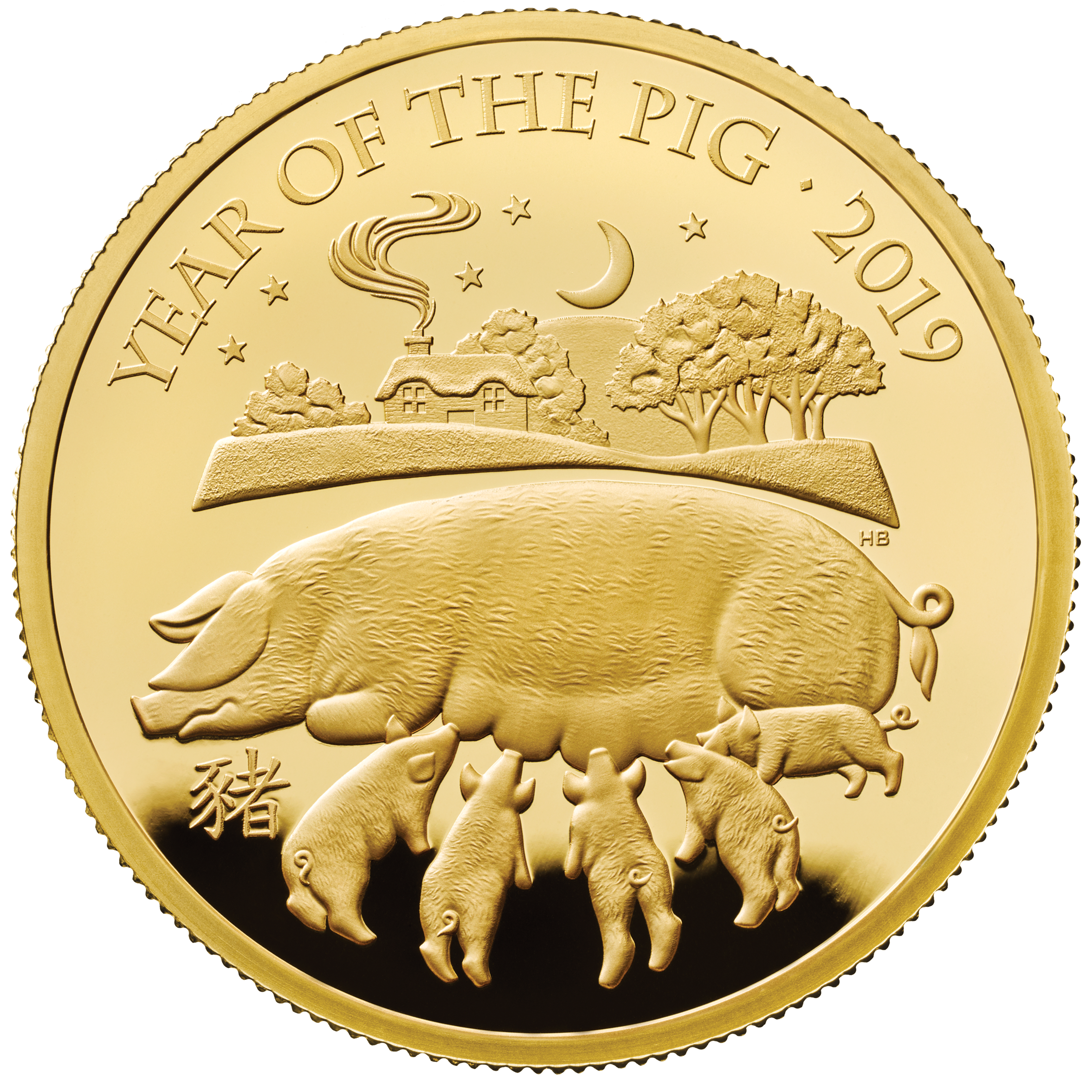 Commemorative coins for  2019 Lunar Year of the Pig struck by Royal Mint