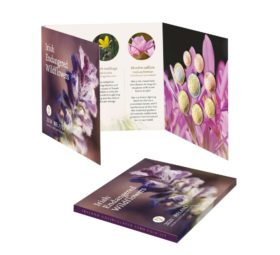 2020 numismatic program of Ireland