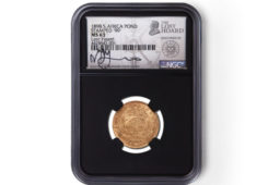 2021 South african hoard for sale!