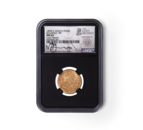 2021 South african hoard for sale!