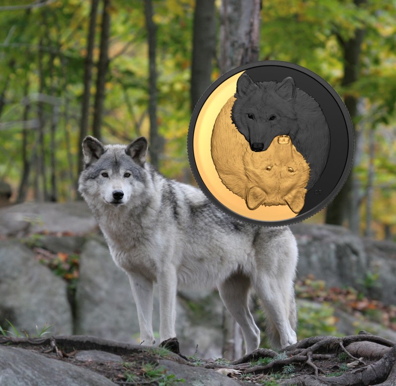 Get A Gold And Rhodium Grey Wolf From Royal Canadian Mint In 21 Numismag