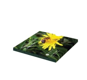 2021 irish numismatic program