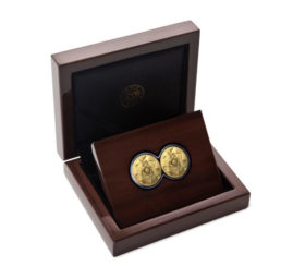 2022 Gold south african lion coin