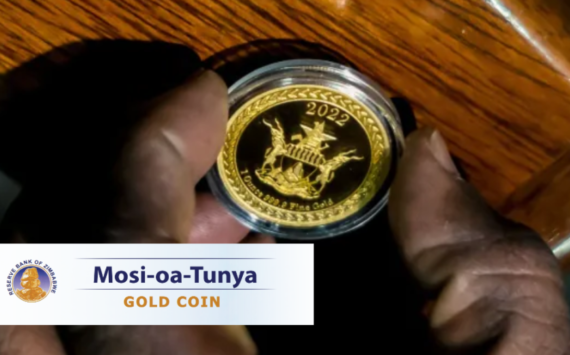 2022 Gold coin “Mosi-oa-Tunya” from ZIMBABWE