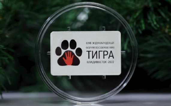 2022 3 rubles coin from Bank of Russia dedicated to the Tiger